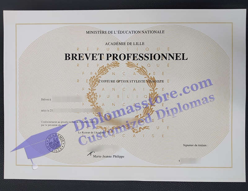 brevet professionnel, Academie de lille diploma,