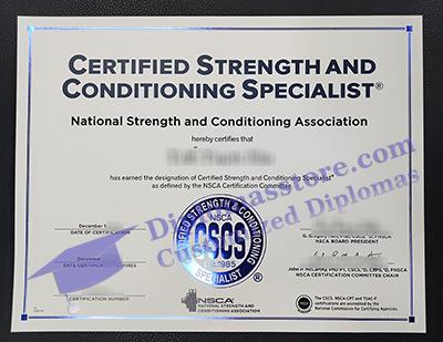 fake CSCS certificate