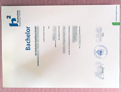 Hochschule Magdeburg Stendal urkunde certificate