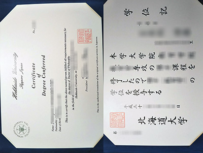 Hokkaido University degree certificate