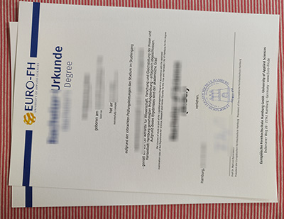 EURO-FH urkunde certificate