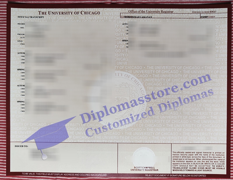 University of Chicago transcript