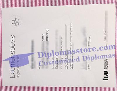 Linköpings universitet degree