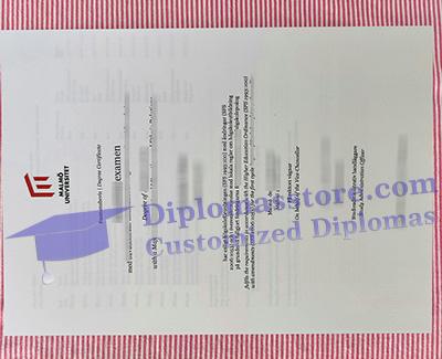 Malmö University diploma