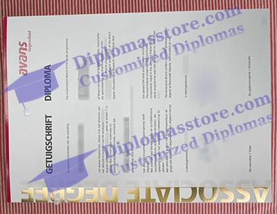 Avans Hogeschool degree