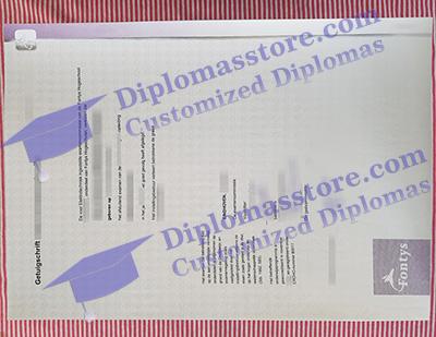 Fontys diploma