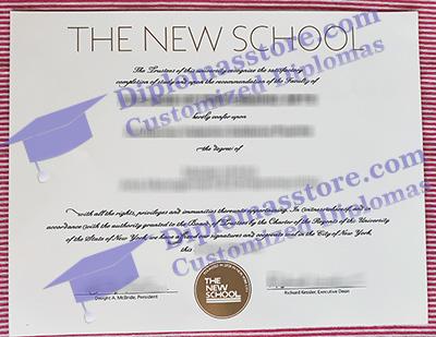 The New School degree