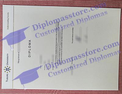 Tilburg University certificate