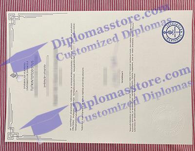 University of Jyväskylä diploma