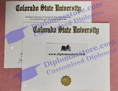 Colorado State University degree