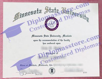 Minnesota State University degree
