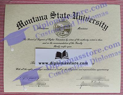 Montana State University degree