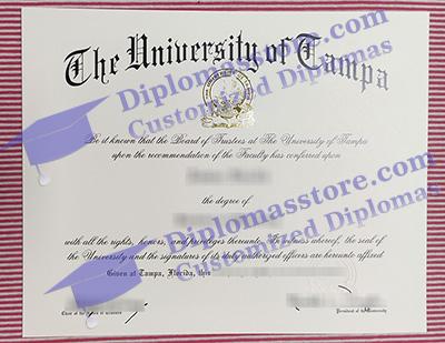 University of Tampa degree