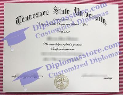 Tennessee State University certificate