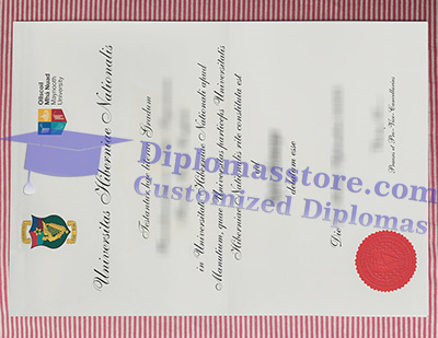 NUI Maynooth diploma
