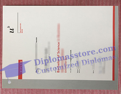 Universität Bern degree