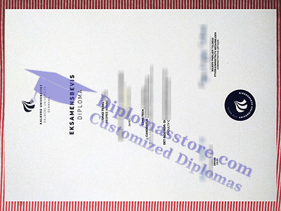 Aalborg Universitet certificate