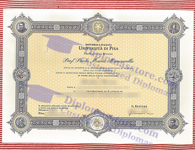 Università di Pisa degree