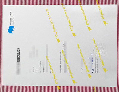 Hochschule Mainz degree
