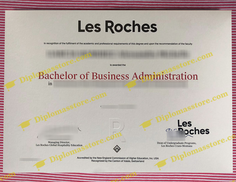 Les Roches degree